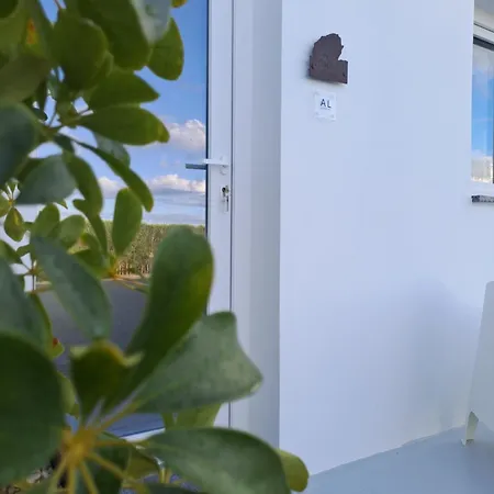 Penawoods * ア・ドス・クニャードス